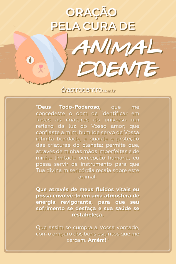 Aprenda a poderosa oração pelos animais doentes - Blog Astrocentro